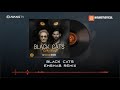 Black Cats - Emshab OFFICIAL REMIX | بلک کتس - امشب رمیکس