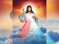 প্রভু তোমার সেবায় তোমার সেবায় আমি য�