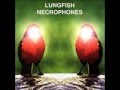 Lungfish - Necrophones 