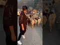 Be Yourself ️ You Don T Have To Follow The Heard Adahsharma Workout