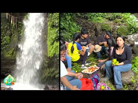 Mujeres en defensa de la "Biodiversidad" En Colomba, Quetzaltenango, Guatemala.
