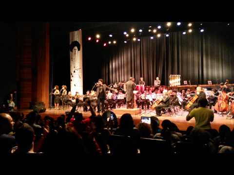 Concerto da Orquestra Sinfônica Popular Brasileira em homenagem a Tim Maia