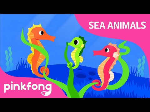 Hey-ho-hey, Seahorse | Sea Animals Song | Animal Song | Pinkfong Songs for Children