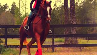 You can&#39;t trust me