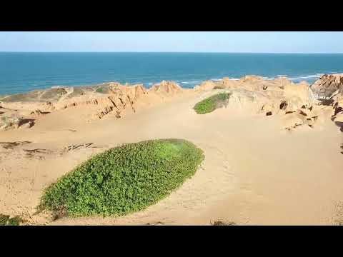 Steen Thottrup - Another Day (feat. Denver Knoessen)