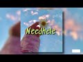 Needhele [ Slowed + Reverb ]