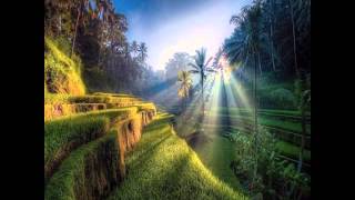 MIKE BLOOMFIELD & AL KOOPER - TOGETHER TILL THE END OF TIME