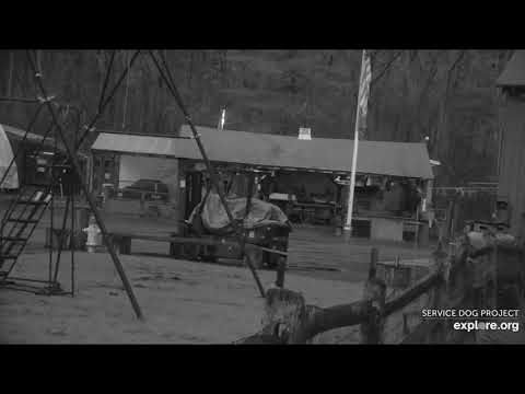 Phill cam day ends SDP 1025pm 422020