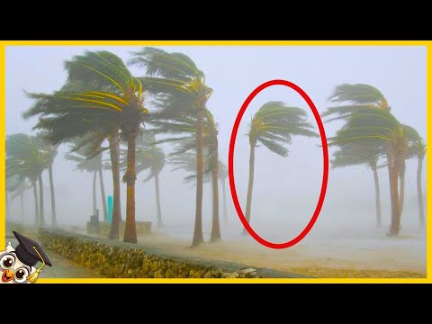 20 Matrix Glitches Caught On Camera