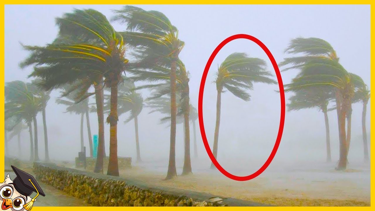 20 Falhas Na Matrix Capturadas Na Câmera