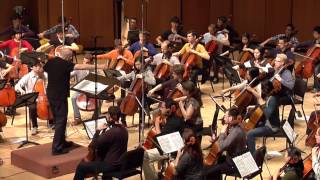 MAHLER: Symphony No. 5: Adagietto - Northwestern Cello Ensemble