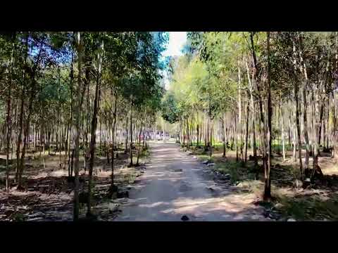 Video de YouTube - Se vende casa y apartamento en Las Piedras