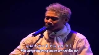 [Vietsub + Lyrics] Anh Thật Sự Tổn Thương - 我真的受伤了 - Trương Học Hữu