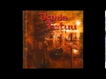 Ignis Fatuu - Neue Ufer 