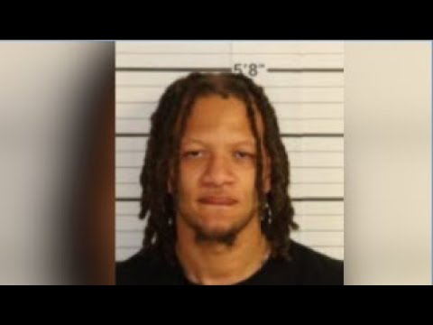 'Known violent gang member' charged with 38 gun crimes after 16 weapons seized