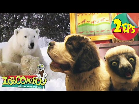 Slimy buddies + Snowday | Zoboomafoo - Double Feature | Full Episodes 07 + 08