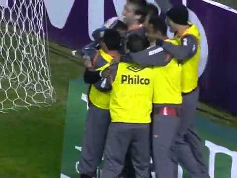 23/07/2011 -- Atlético-PR 2 X 1 Botafogo -- Gols, pelo Campeonato Brasileiro 2011 HQ