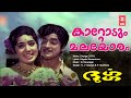 Kattodum Malayoram Durga Malayalam Romantic Song Vayalar Ramavarama Devarajan P Susheela