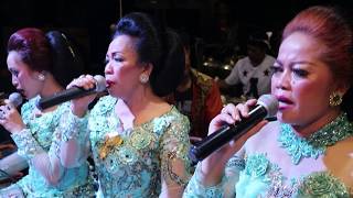 Download lagu Lagu Entog Mulang jaman NOW keren PGH -3 mp3