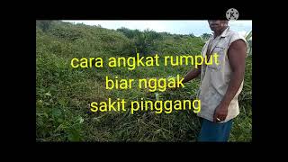 Download lagu tutorial cah ngarit angkat rumput mp3
