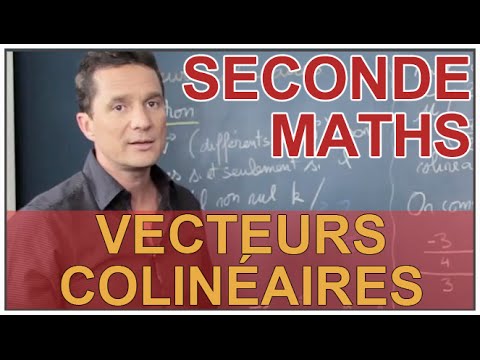 Collinear Vectors - Second Year Maths - Les Bons Profs
