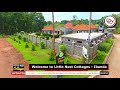 Little Nest Cottages Ibanda Luxury Comfort Warm Hospitality Tour