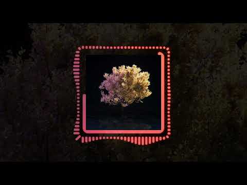 digital dinosaurs - Sometimes (Official Audio)