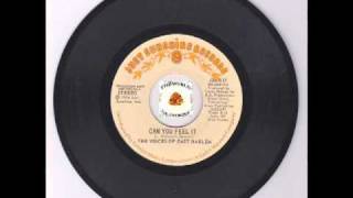 The Voices Of East Harlem Can You Feel It