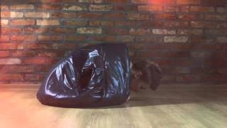 Ray Wilson "Not Long Till Springtime" | Teaser