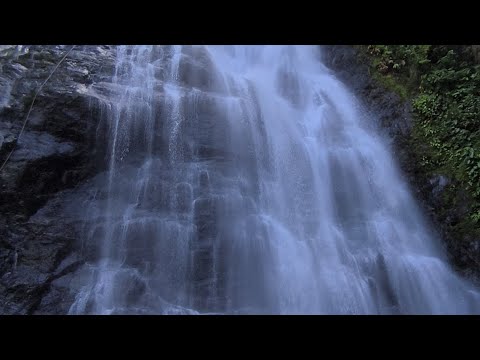 Cascada La Llovizna, San Casimiro Edo Aragua