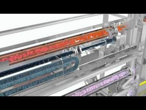 TerraNova Energy Hydrothermale Karbonisierung