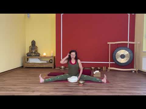 Yin Yoga im Holz Element