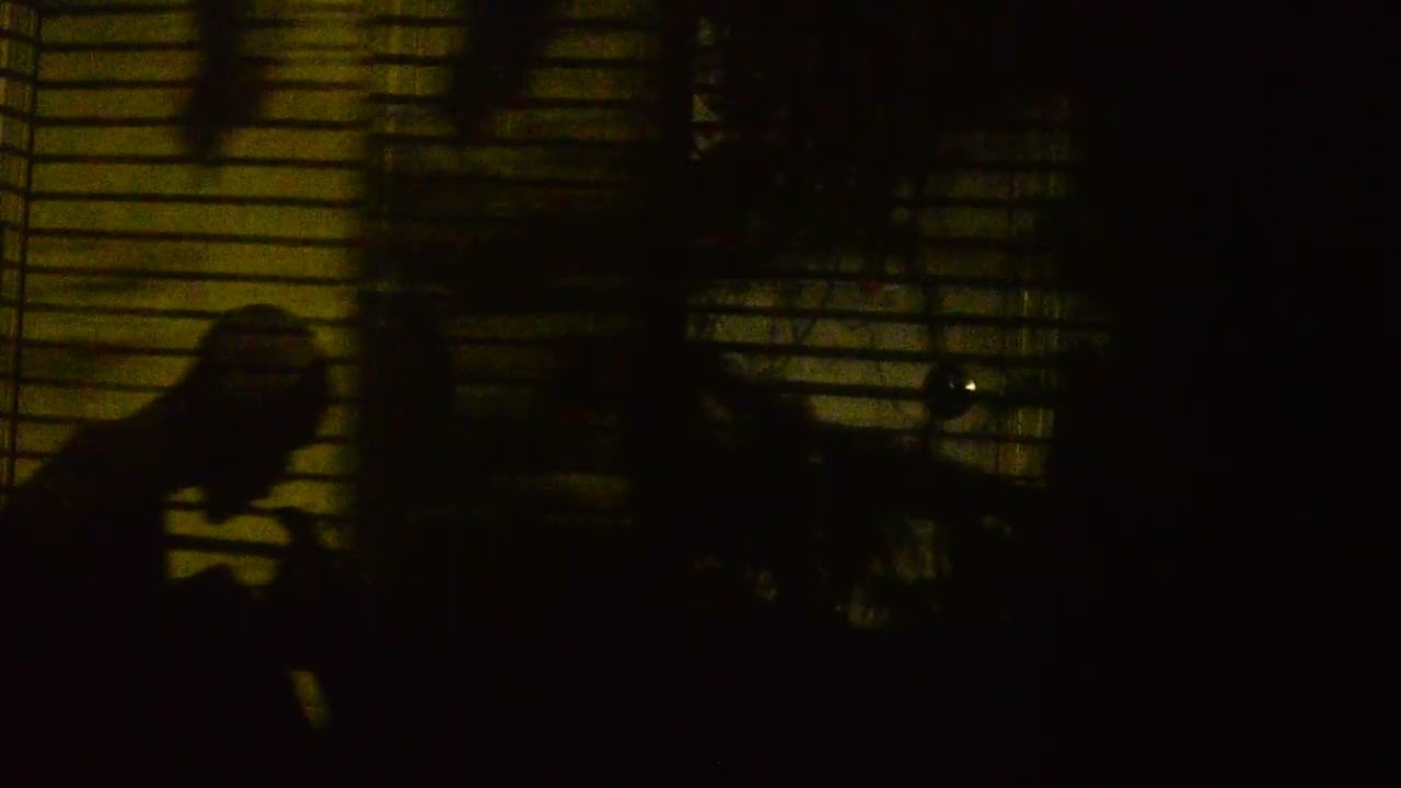 Promotional video thumbnail 3 for XNE The Artist