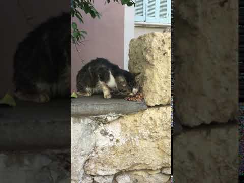 Damaris in Chania, Crete - eating