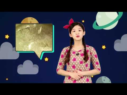 라면은 누가 처음 만들었을까이미지