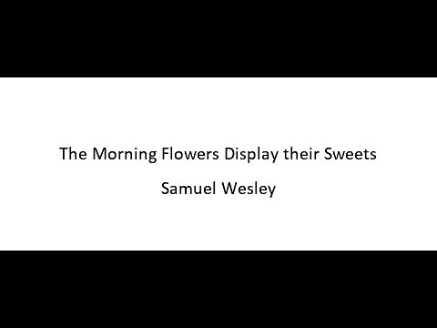 Thumbnail for The Morning Flowers Display Their Sweets video