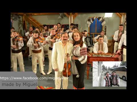 Orchestra Lautarii din Chisinau LIVE - Colaj de Hore si Sarbe unice si nemaiauzite 2019 by N.Botgros