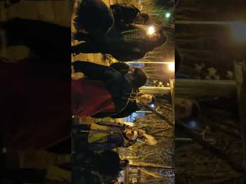 Skinny vs Parawa // Cuartos // Razza Free // FECHA 8