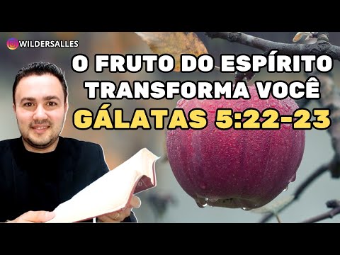 The Fruit Perfects You in Christ (Galatians 5:22-23 NIV)