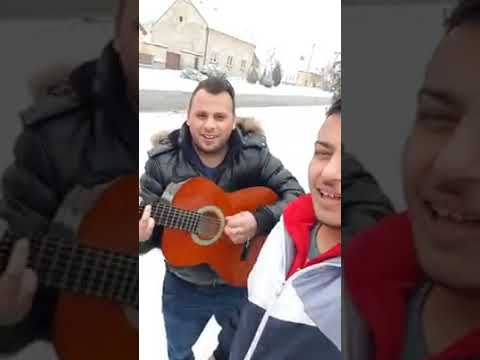 Kis csore - fehér karacsony