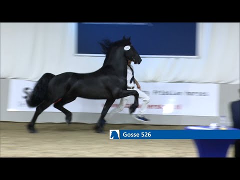 Gosse 526 wint rubriek 9