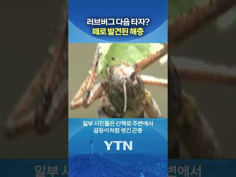 사람도 문다 ㄷㄷ #shorts / YTN