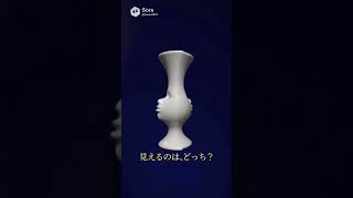 ルビンの壺！