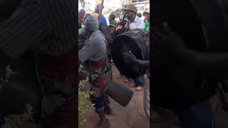 Download lagu Ngadule - Bena (TZ 🇹🇿) traditional dance #njombe #mtuli #kidugala mp3 Download lagu Ngadule - Bena (TZ 🇹🇿) traditional dance #njombe #mtuli #kidugala mp3