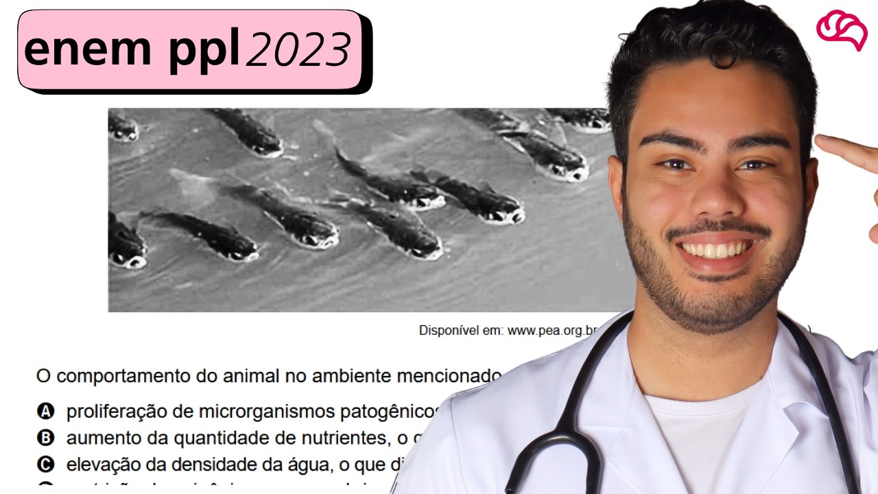 Resolução em Vídeo — Questão 117 ENEM 2023 PPL