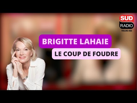 Brigitte Lahaie - Sommes-nous tous sujets au coup de foudre ?