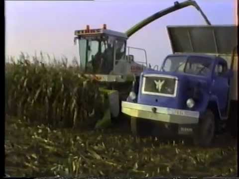 Loonw. Francois – Ternat