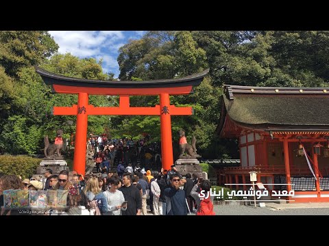 كيوتو Kyoto