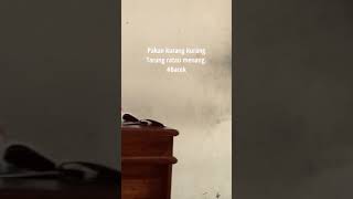 Download lagu story wa adu ayam mp3
