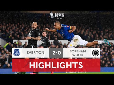 FC Everton Liverpool 2-0 FC Boreham Wood Borehamwo...